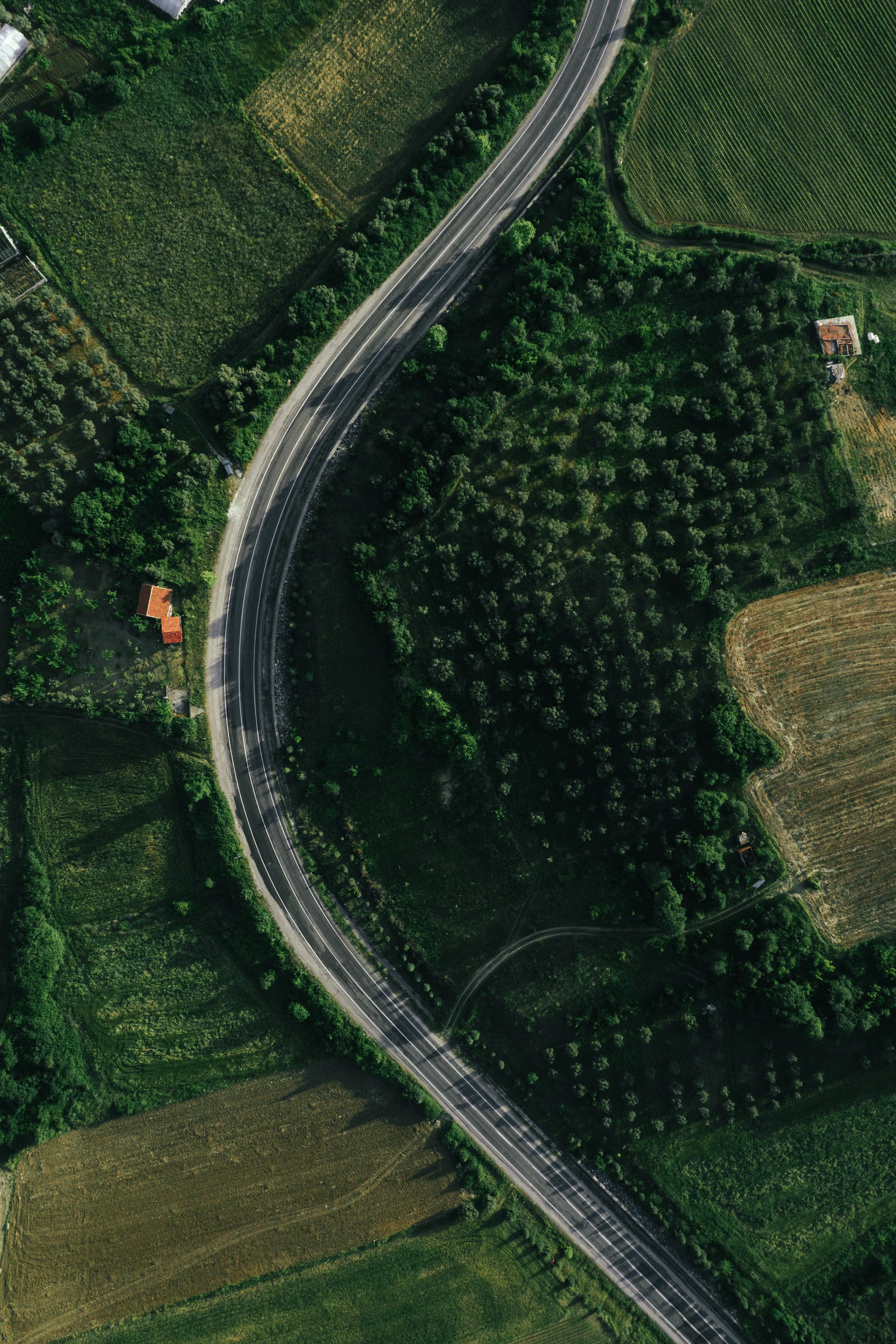 Aerial view of a road corridor, the same perspective an autonomous survey flight captures